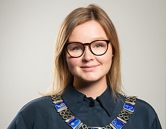 Ordfører Aina Nilsen. Ordfører Aina Nilsen.