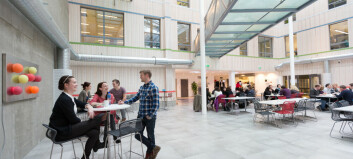 Universitetsbyen girer opp: Søker prosjektleder for Campus Helgeland
