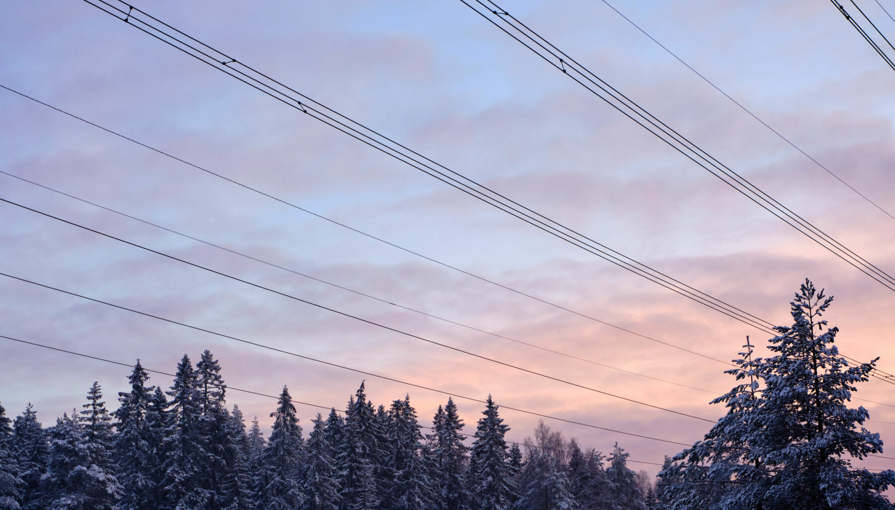 Winter,Landscape,Of,Pine,Woods,With,High,Voltage,Power,Lines