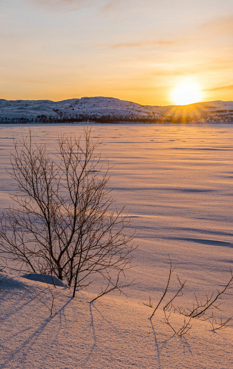 Sunrise on an beautiful winter morning in Sør-Varanger, Norway.