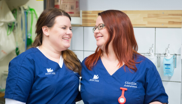 Dyrepleier Martha og assistent Cicilie blir to av dine kolleger.