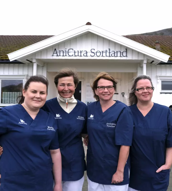 Anicura søker både veterinær og dyrepleier: Martha Synnøve, Hildur, Arnbjørg og Cicilie.
