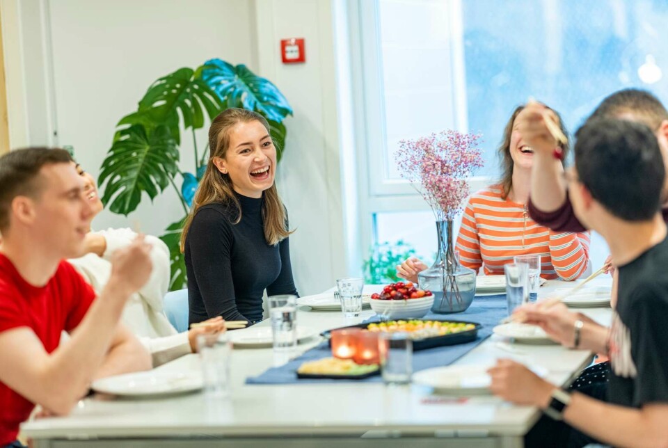 Studentsamskipnaden søker kokk og kantinevert til Fjelldal