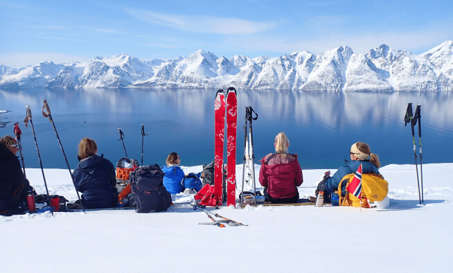 Som trainee blir du med på det regionale programmet Trainee Arena Nord-Troms, hvor du også får ta del i