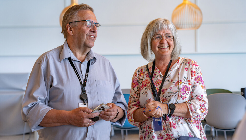 Kupa-sjef Hilde Svenning jakter nøkkelperson.