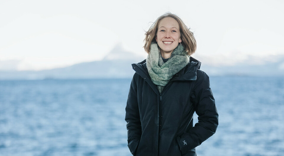 Seniorrådgiver Elisabeth Aspevoll gir deg råd for å kunne skrive de beste stillingsannonsene.