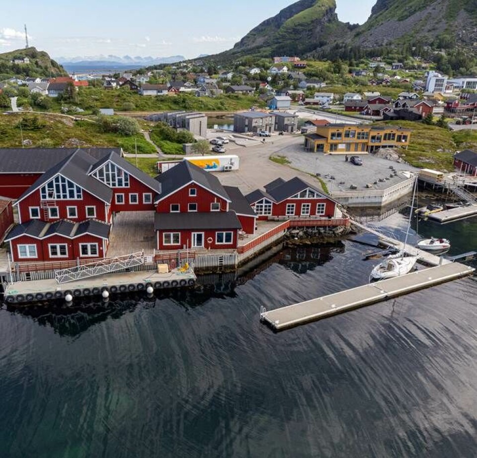 Kystinkubatoren søker daglig leder