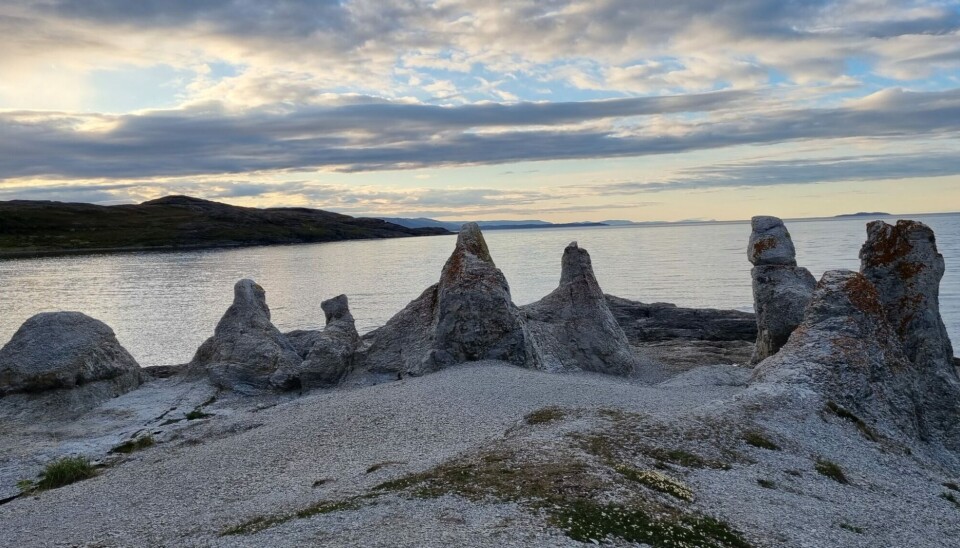 Vi søker daglig leder til utviklingsorientert hotell i hjertet av Finnmark