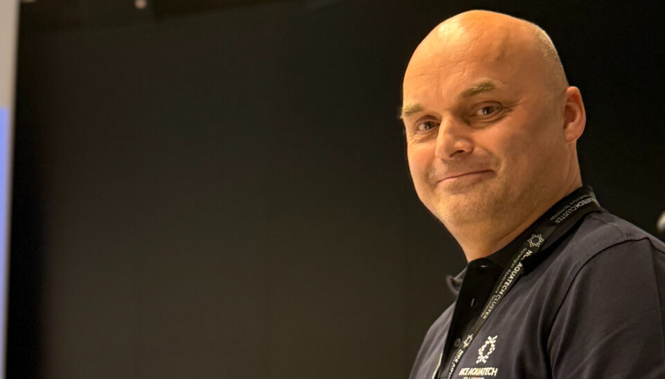 Morten Andersen går inn som daglig leder i Vestre Varanger Utvikling fra årsskiftet.